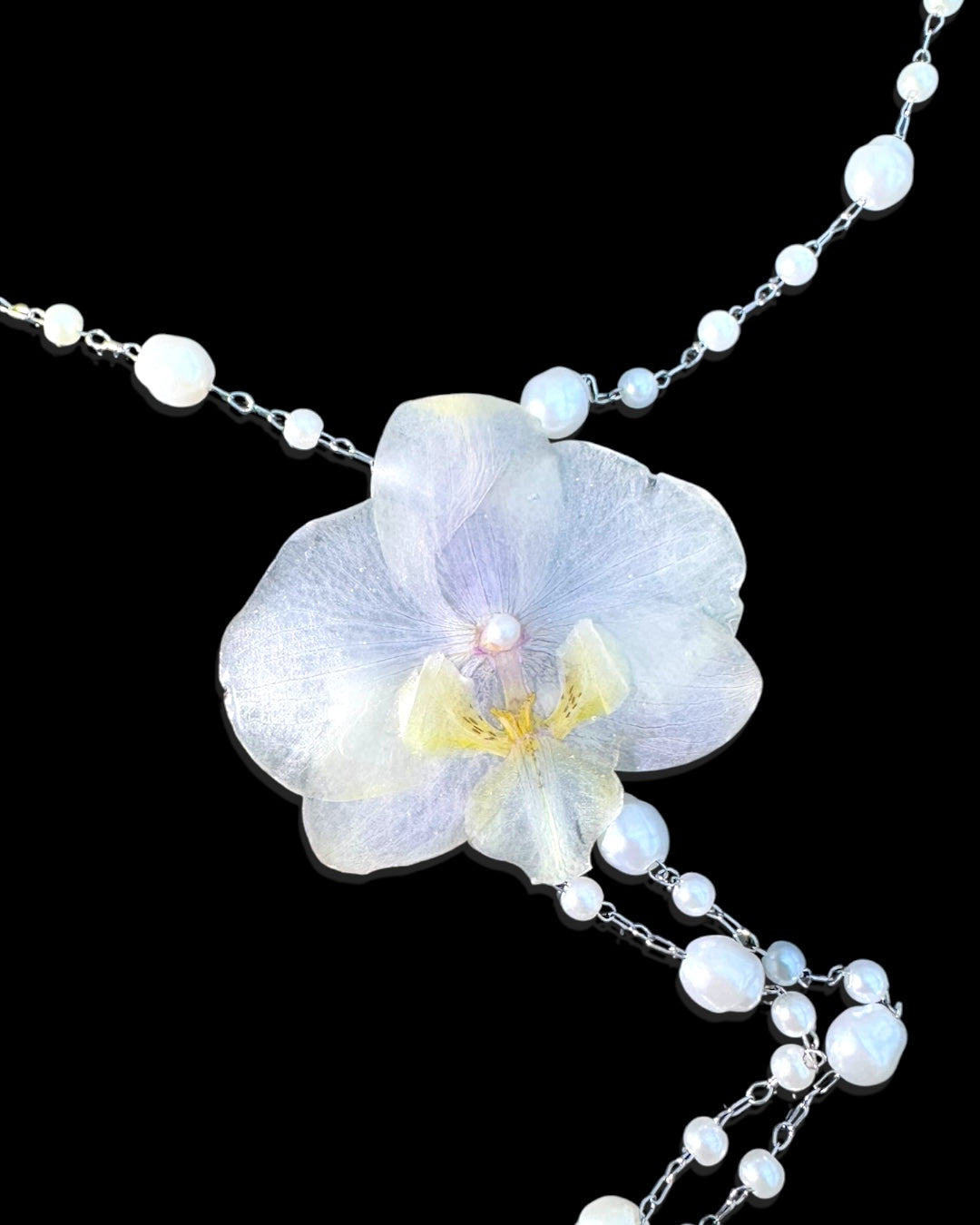 perles phalaenopsis