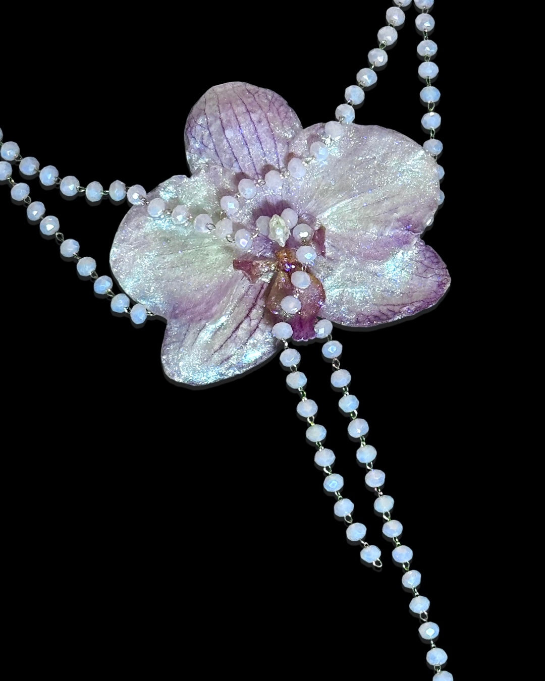 Pearly orchid